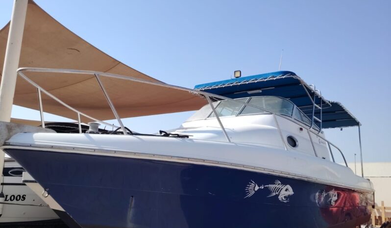 GULF CRAFT WALK AROUND