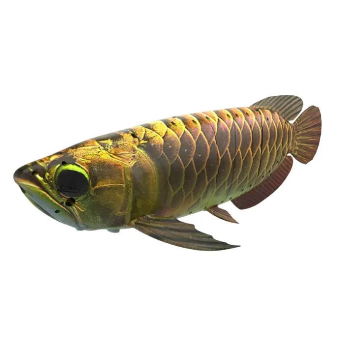 Robosea ROBOLAB-GL Autonomous Robotic Fish